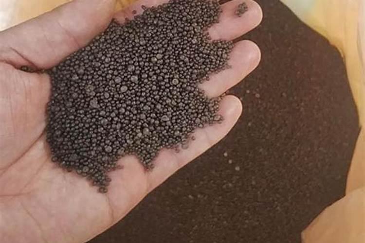 植物体对铵态氮和硝态氮哪个吸收利用率比较好？