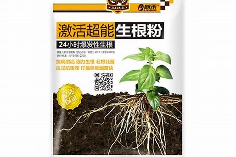 生根粉怎么用效果最佳