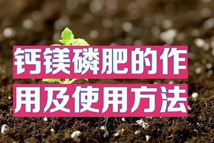 玉米解药害最简单方法