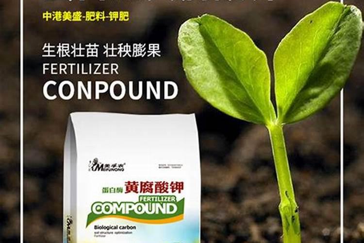 利用糖蜜如何生产黄腐酸钾