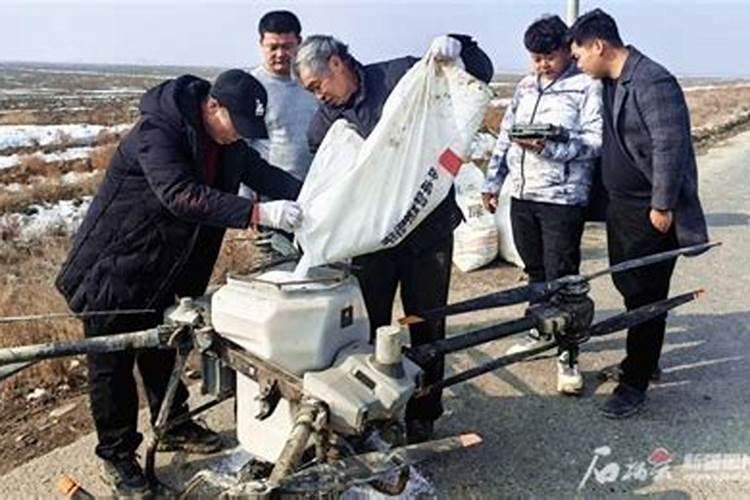 混用农药或使用混配农药时的注意事项有哪些