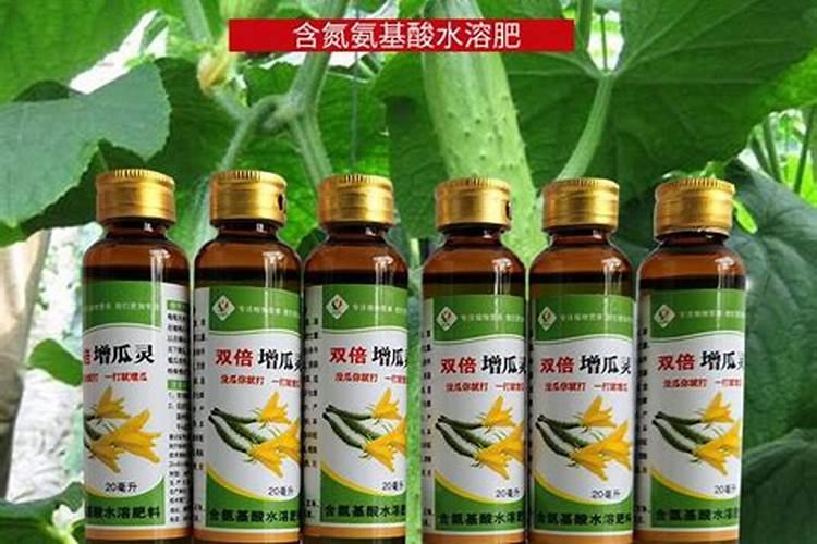 甜瓜怎样快速增甜,增瓜灵什么时候喷合适
