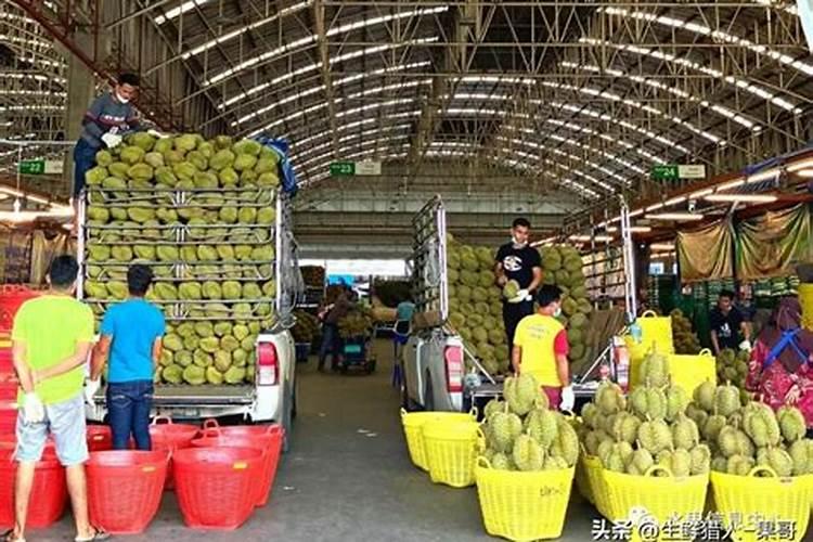 研制果树的专用肥的方法是什么？