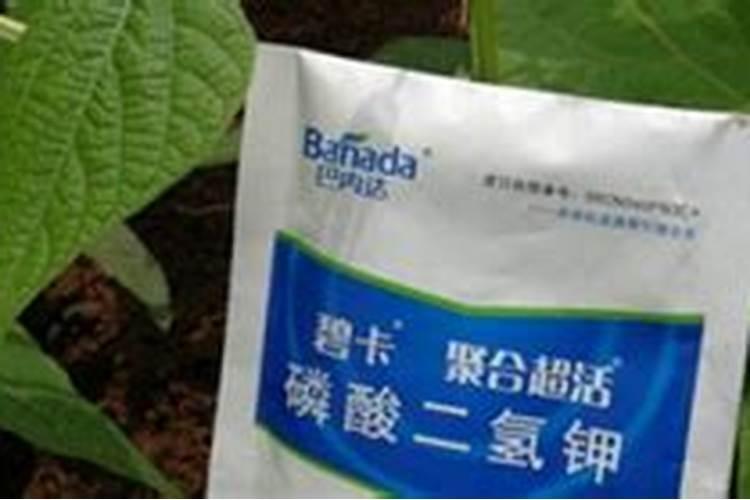 棉花施钾肥最佳时间 使用方法及注意事项
