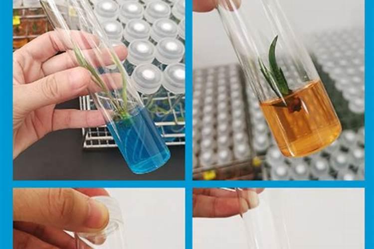氯化胆碱能和大量元素水溶肥混用吗？