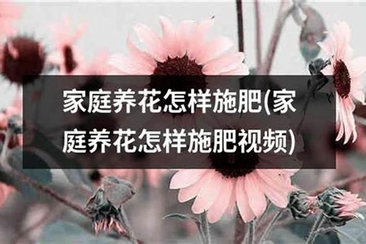 氮肥养花使用方法有什么？