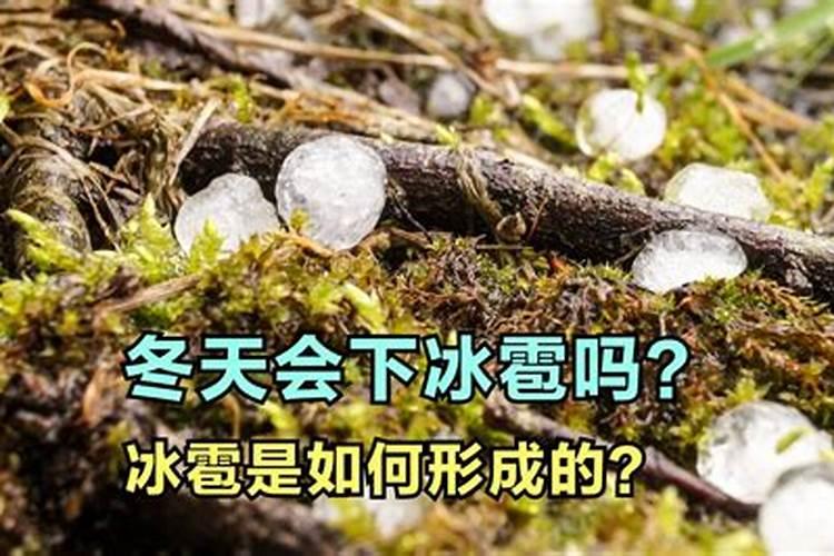 核桃落果是什么原因造成的