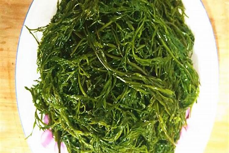 海藻酸肥料功效与特点,是碱性肥料还是酸性肥料