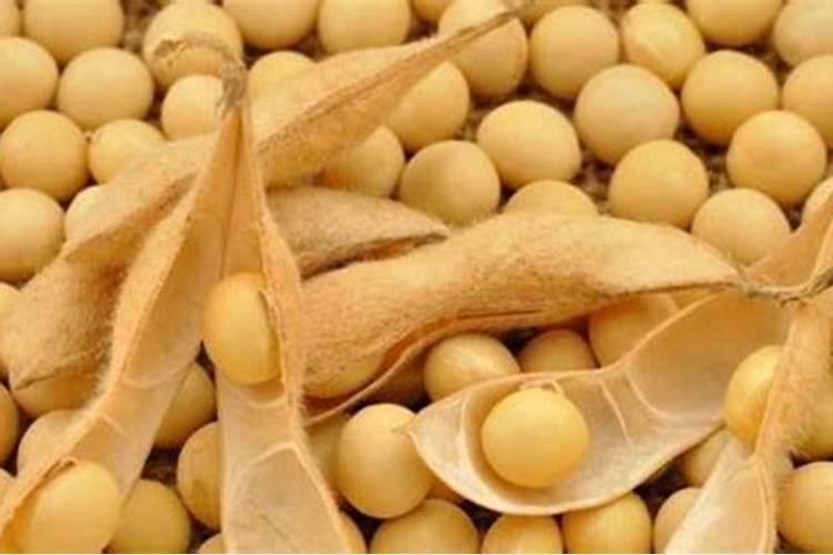 大豆缺氮症是怎样形成的？