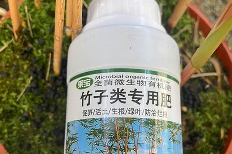 种植竹子的过程