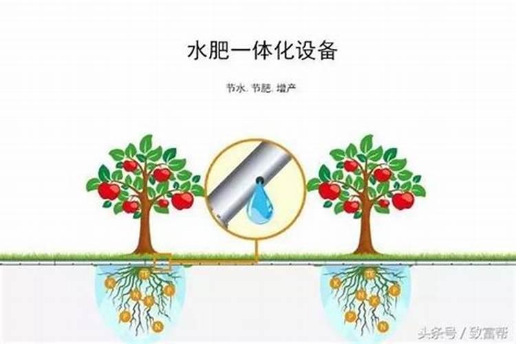 氮磷钾肥分别有什么作用 有哪些功效