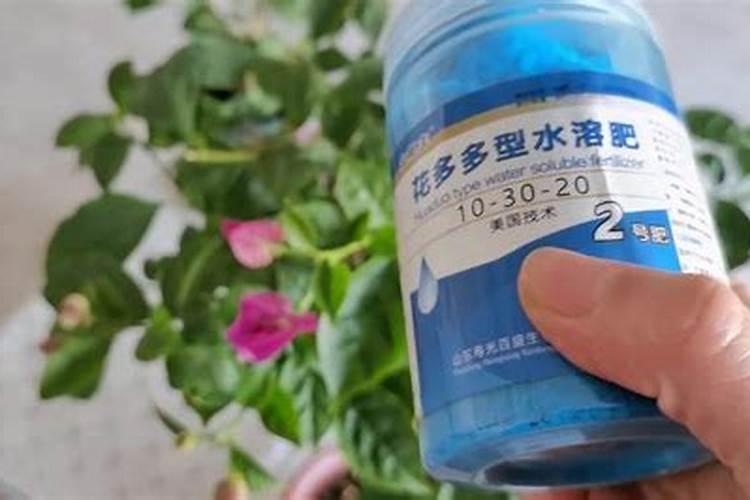 水溶肥的优势,与叶面肥,滴灌肥,冲施肥的区别和联系？
