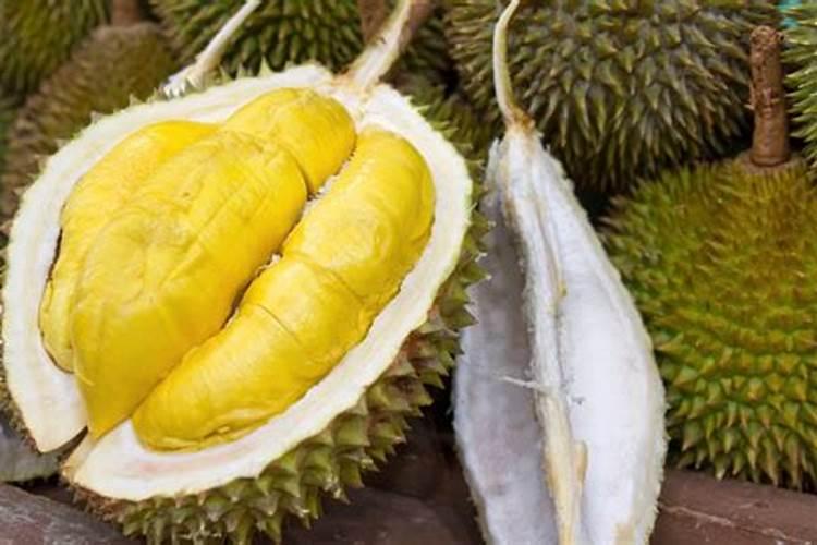 提高榴莲果实品质的种植技巧有哪些