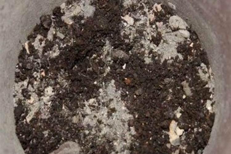 钾肥的正确使用方法