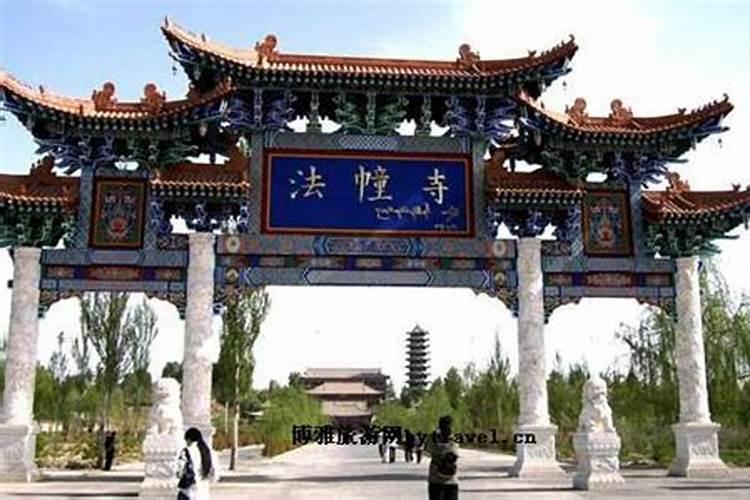 果树用什么肥料最好