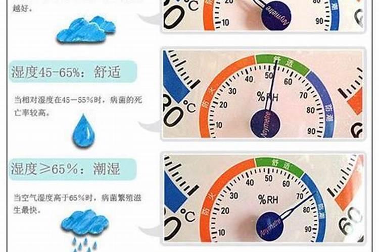 小麦在小满期间能不能使用叶面肥