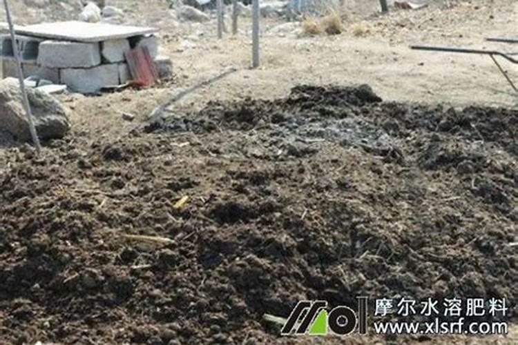 羊粪怎么发酵水溶肥？