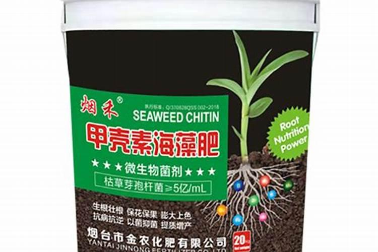 海藻甲壳素水溶肥什么月份用