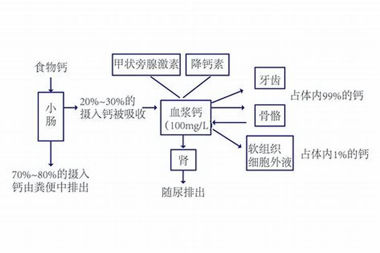 哪种肥料容易使钙流失 肥料的种类有哪些