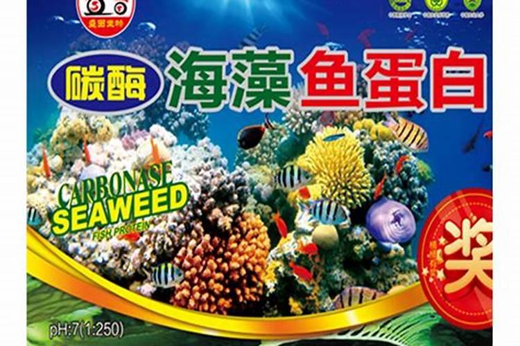 碳酶海藻鱼蛋白什么时候使用最好