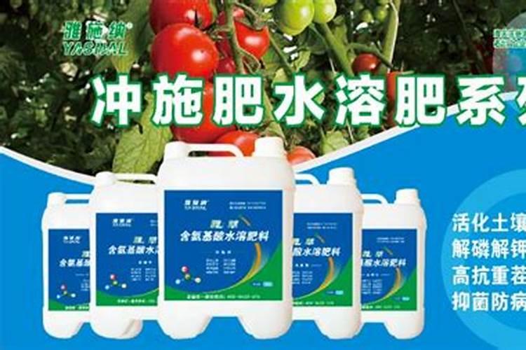 金弹子来芽后施什么肥