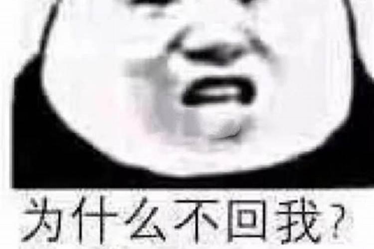 盆栽月季花要施什么肥,一般什么时候施肥？