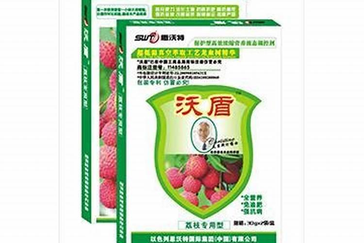 荔枝专用叶面肥什么好
