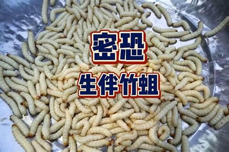 腊肉在夏天怎样保存不会坏