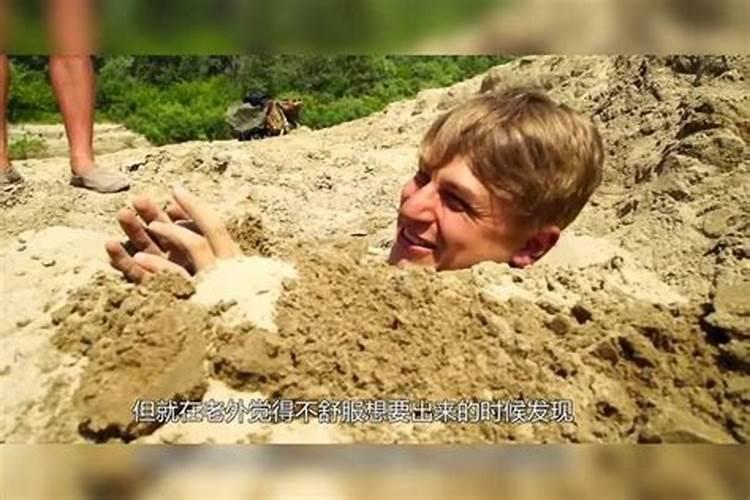 肥肉生蛆晒干磨粉的营养价值