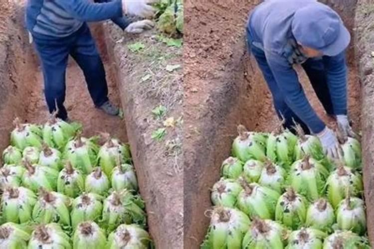 古代监狱到底是什么样的 里边条件到底有多恶劣