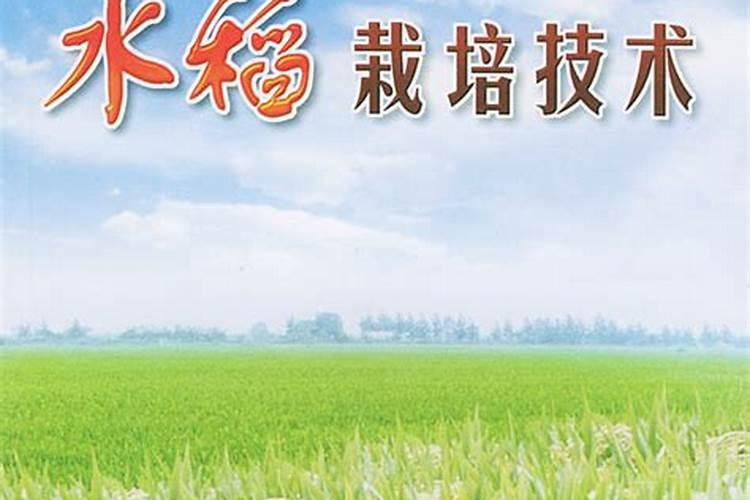 水稻一炮轰施肥的优点 有哪些好处