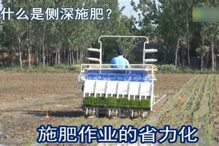 水稻施肥方法和用量