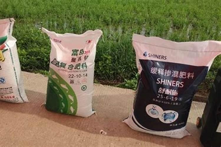 水稻施肥量和时间 水稻施肥用量和时间