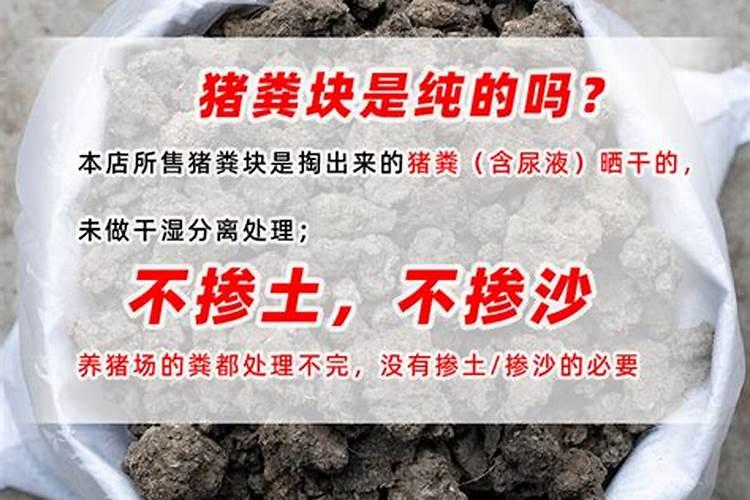 一年山茶树苗刚种下,可以浇大粪吗？
