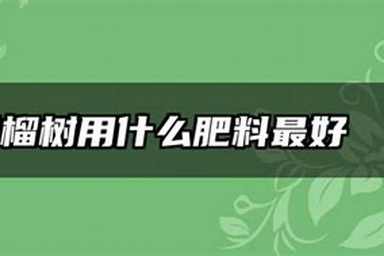 盆栽石榴用什么肥料最好