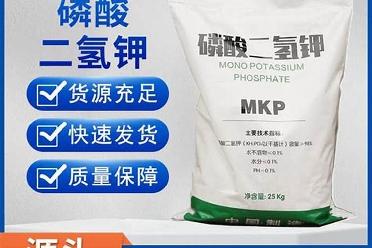 腊梅开花不鲜艳