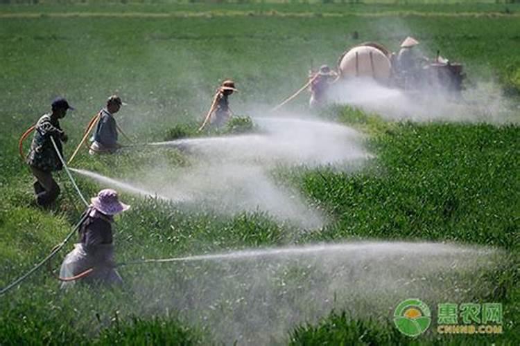 农药中抗生素类杀菌剂与生物杀菌剂能不能混用