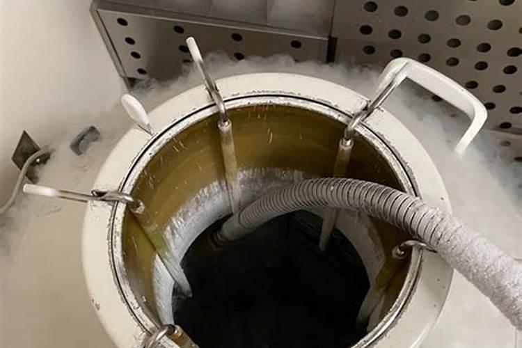 米兰用什么肥料最好