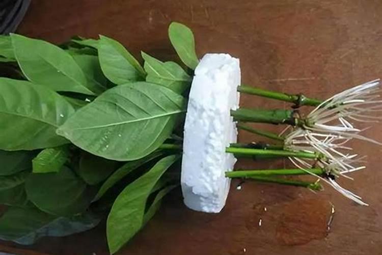 茉莉现在浇什么肥好些？