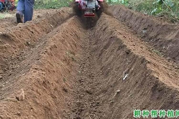 农用稀土稀土在养殖业上中的应用