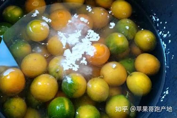 脆蜜金桔怎么保花保果