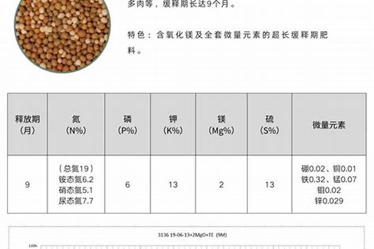 正安九道水森林公园旅游攻略正安县哪儿风光最好又适合旋游离正安县又...
