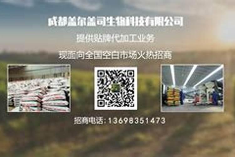 葡萄叶子发黄变干怎么治？