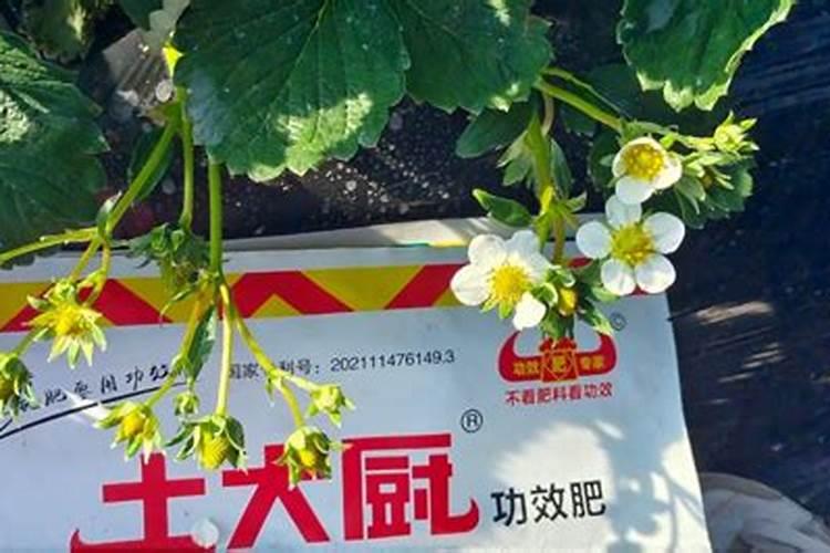 腐殖酸和腐植酸钠区别