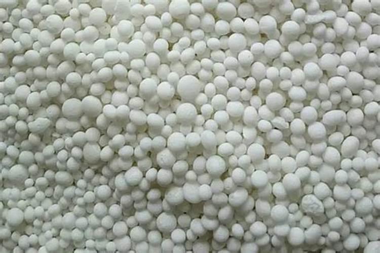 请问载植三年的苹果树什么时候施肥最好