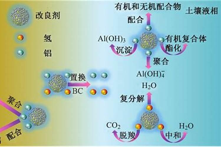 可以改良酸性土壤的化肥有哪些