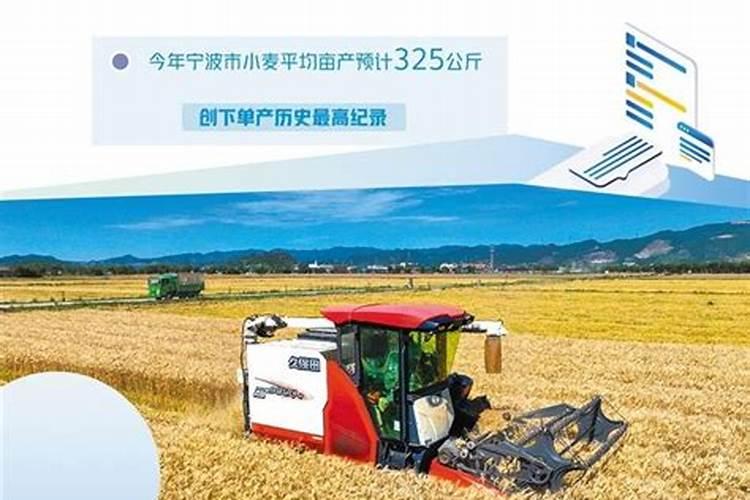 住商肥料与金正大比怎么样