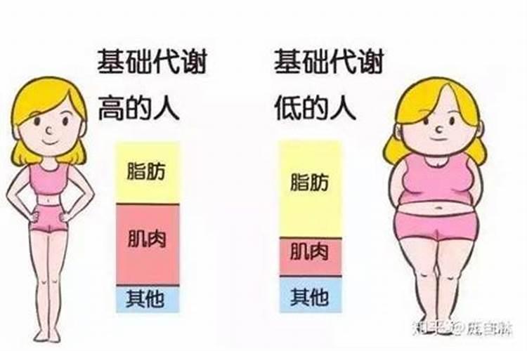 土壤中的肥料何时会失效