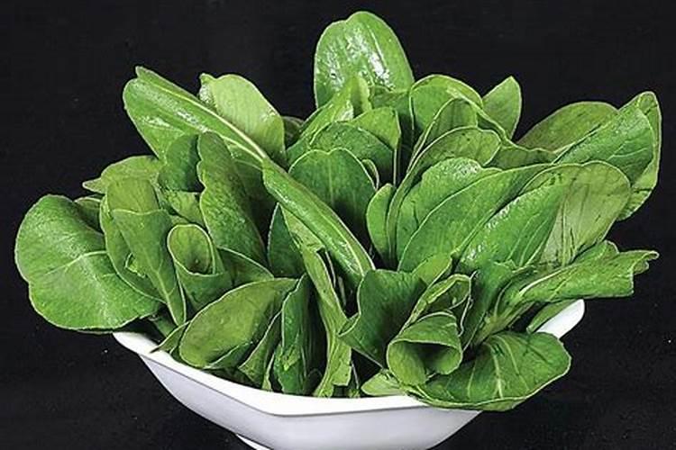 蔬菜品质有何关系？