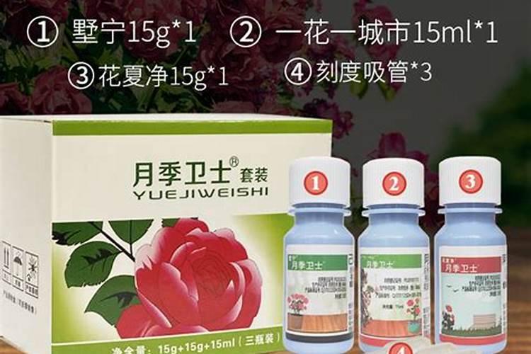 月季花被误打了除草剂怎么办？